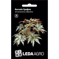Насіння бегонії кімнатна Грифон вічнозелена гібридна 3шт ТМ LEDAAGRO