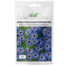 Насіння брахікоми Блакитний вогник 0,1г ТМ Професійне насіння
