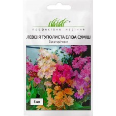 Насіння Левізії туполиста Еліза суміш 5шт ТМ Професійне насіння