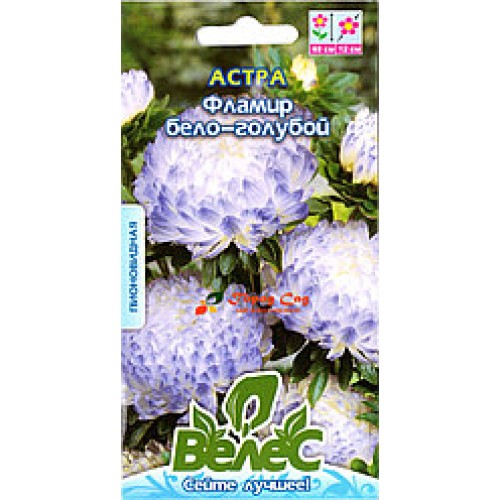 Насіння Айстри Фламір біло-голуба 0,3г ТМ Велес