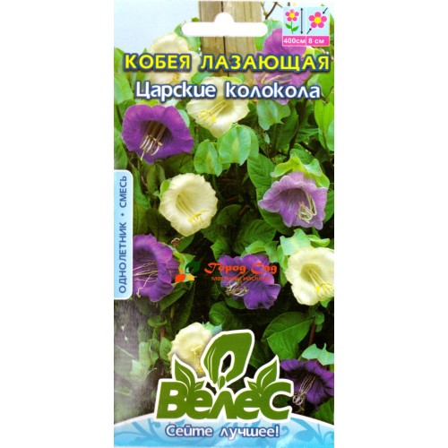 Насіння Кобеї повзуча Царські дзвони 0,1г ТМ Велес