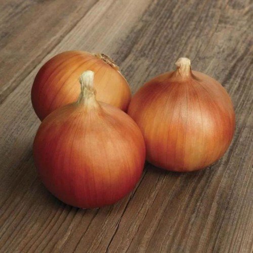 Озима цибуля саджанка Августа Голландія Top Onion 500г