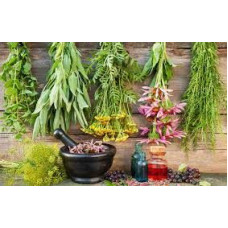 Насіння Різних культур