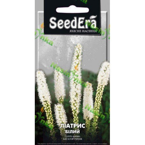 Насіння Ліатрісу Білий багаторічний 0,2г SeedEra