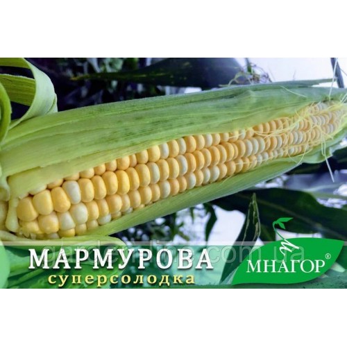  Насіння  Кукурудзи  цукрова Мармурова F1 50шт ТМ МНАГОР