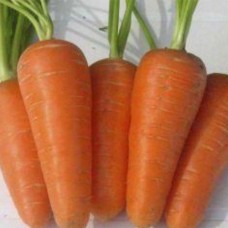 Насіння моркви Шантане Роял 500шт драже ТМ ВЕЛЕС