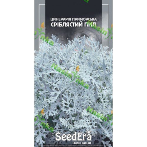 Насіння циненарії Срібний пил 0,1г ТМ SeedEra