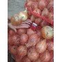 Озима цибуля саджанка Радар (Рейдер) 1кг Голландія Broer