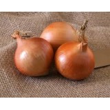 Озима цибуля саджанка Шекспір 1кг  Голландія Top Onion 