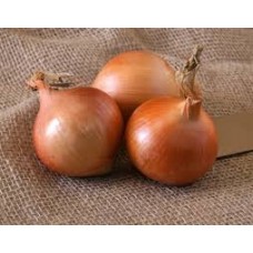 Озима цибуля саджанка Шекспір 0.5 кг Голландія Top Onion